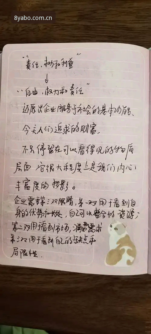 老用户手记：YABO888官网V3版注册入口安装教程的几点避坑经验